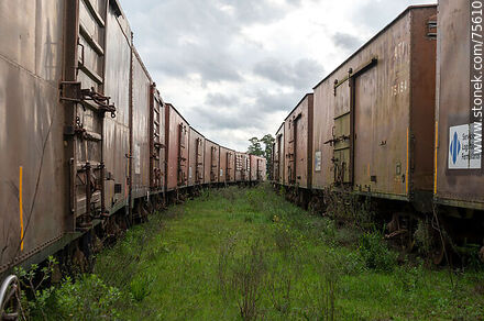 Estación de ferrocarril de Illescas. Vagones de carga - Departamento de Florida - URUGUAY. Foto No. 75610