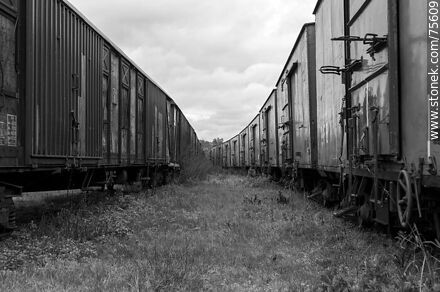Illescas railroad station. Old freight cars -  - MORE IMAGES. Photo #75609
