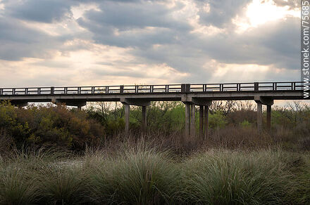 Puente en ruta 6 sobre el arroyo Timote - Departamento de Florida - URUGUAY. Foto No. 75685