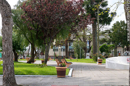 Plaza Artigas - Departamento de Florida - URUGUAY. Foto No. 75723