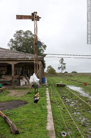 Antigua estación de trenes Puntas de Herrera. Andén de pasajeros - Departamento de Durazno - URUGUAY. Foto No. 75799