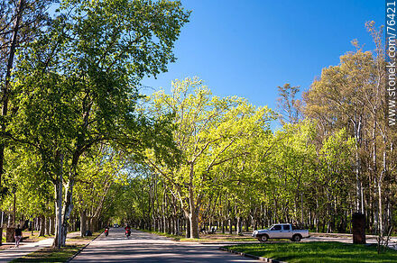 Avenida Winston Churchill - Departamento de Durazno - URUGUAY. Foto No. 76421
