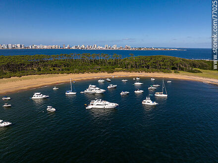 Aerial view of the bay to the west with its beach and boats. - Punta del Este and its near resorts - URUGUAY. Photo #77025