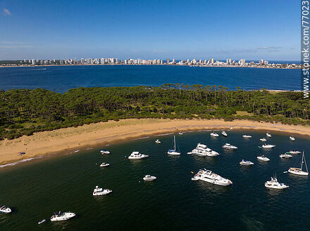 Vista aérea de la bahía al oeste con su playa y embarcaciones - Punta del Este y balnearios cercanos - URUGUAY. Foto No. 77023