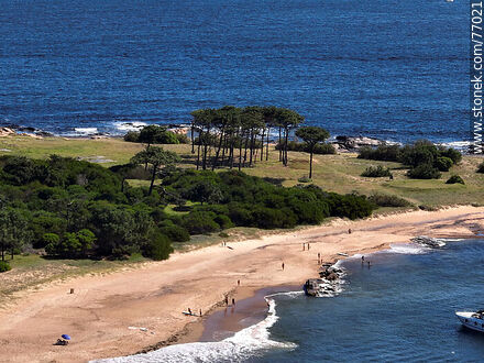 Aerial view of the west coast of the island - Punta del Este and its near resorts - URUGUAY. Photo #77021