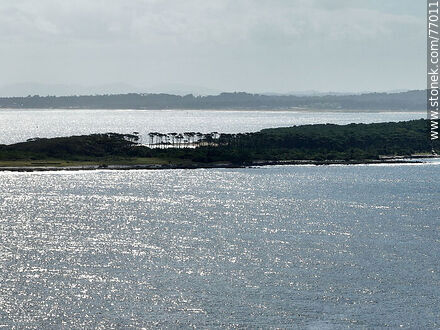 The island of backlighting - Punta del Este and its near resorts - URUGUAY. Photo #77011