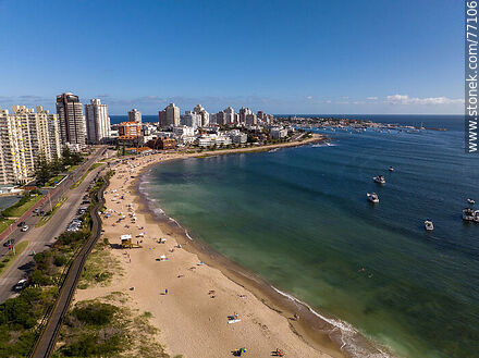 Aerial view of Playa Mansa in the afternoon - Punta del Este and its near resorts - URUGUAY. Photo #77106