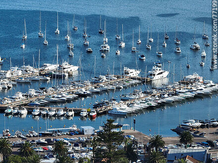 Aerial view of the port marinas - Punta del Este and its near resorts - URUGUAY. Photo #77199
