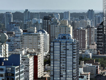 Aerial view of a multitude of towers and buildings - Punta del Este and its near resorts - URUGUAY. Photo #77152