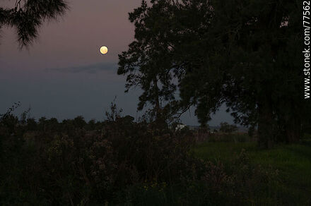 Luna llena desde la Picada Benítez. Ruta 61 y Ruta 3 - Departamento de Colonia - URUGUAY. Foto No. 77562
