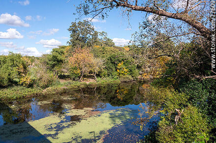 Pando creek from the bridge of old Route 8 (Dr. Luis Alberto de Herrera) - Department of Canelones - URUGUAY. Photo #77609
