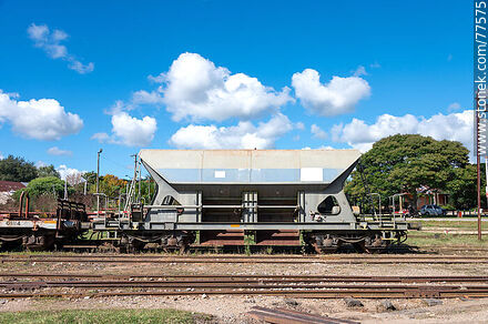 Estación de trenes Víctor Sudriers. Antiguos vagones de carga a granel - Departamento de Canelones - URUGUAY. Foto No. 77575