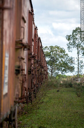 Former Julio M. Sanz railroad station. Row of freight cars - Department of Treinta y Tres - URUGUAY. Photo #77981
