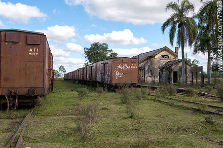 Antigua estación de ferrocarril Julio M. Sanz. Filas de vagones de carga en vías secundarias - Departamento de Treinta y Tres - URUGUAY. Foto No. 77978