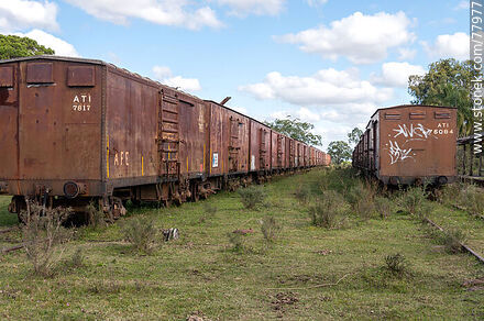 Antigua estación de ferrocarril Julio M. Sanz. Filas de vagones de carga en vías secundarias - Departamento de Treinta y Tres - URUGUAY. Foto No. 77977