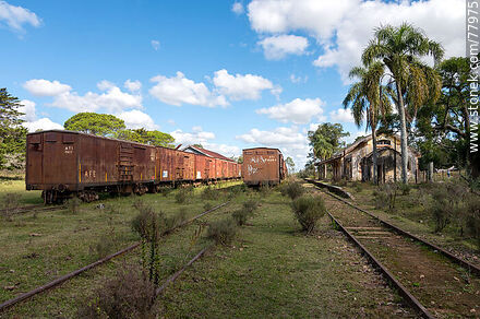 Antigua estación de ferrocarril Julio M. Sanz. Filas de vagones de carga en vías secundarias - Departamento de Treinta y Tres - URUGUAY. Foto No. 77975