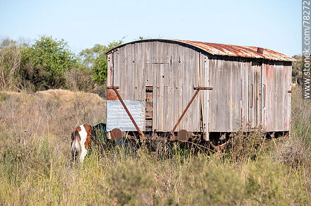 Zapican train station. Old freight car - Lavalleja - URUGUAY. Photo #78272