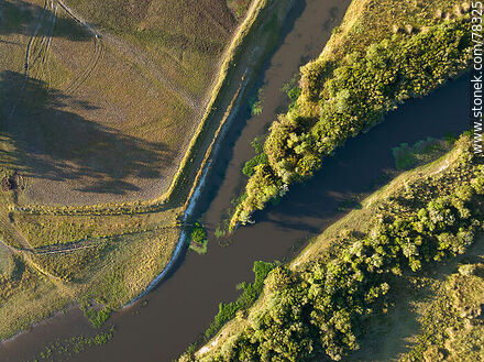 Vista aérea del arroyo San Miguel y campos cultivados - Departamento de Rocha - URUGUAY. Foto No. 78325