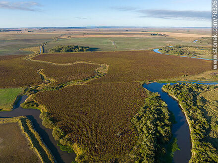 Aerial view of San Miguel creek and cultivated fields - Department of Rocha - URUGUAY. Photo #78326