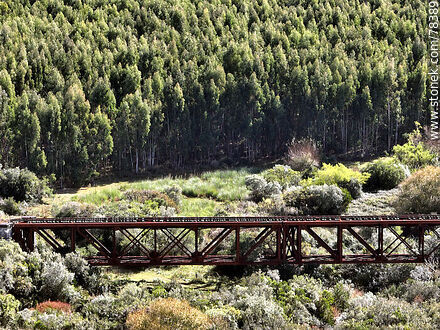 Aerial view of the railroad bridge over the José Ignacio creek with the background of a eucalyptus forest - Punta del Este and its near resorts - URUGUAY. Photo #78389