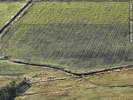 Vista aérea de arrozales en San Miguel - Departamento de Rocha - URUGUAY. Foto No. 78412