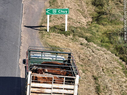 Vista aérea de un camión con ganado en la ruta 15 - Departamento de Rocha - URUGUAY. Foto No. 78403