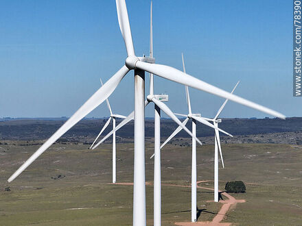 Aerial view of wind energy mills - Department of Treinta y Tres - URUGUAY. Photo #78390