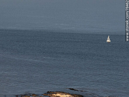 Aerial view of a sailboat in the Río de la Plata - Department of Montevideo - URUGUAY. Photo #78462