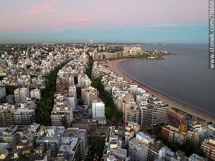 Aerial view of Juan Benito Blanco Roque Graseras streets, its buildings and the beach. - Department of Montevideo - URUGUAY. Photo #78666