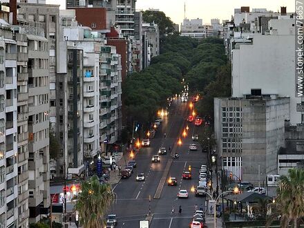 Vista aérea del tránsito en Avenida Brasil al atardecer - Departamento de Montevideo - URUGUAY. Foto No. 78657