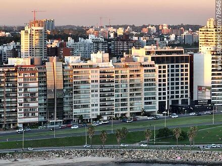 Vista aérea de la rambla y playa de Pocitos con los últimos rayos de sol sobre los edificios - Departamento de Montevideo - URUGUAY. Foto No. 78646