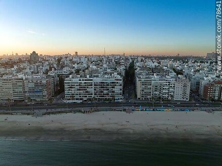 Aerial view of the Pocitos promenade in the twilight of the sunset. - Department of Montevideo - URUGUAY. Photo #78641