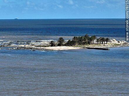 Vista aérea de la isla de las Gaviotas - Departamento de Montevideo - URUGUAY. Foto No. 78715