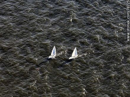 Aerial view of two sailboats sailing in the Rio de la Plata - Department of Montevideo - URUGUAY. Photo #78725