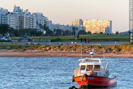 Alliance boat in Punta Carretas - Department of Montevideo - URUGUAY. Photo #79026