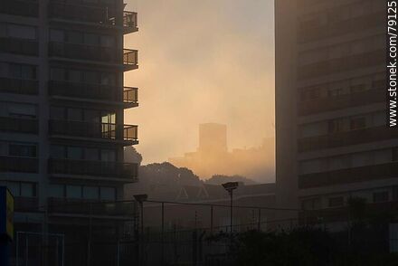 Bruma entre los edificios de la rambla al atardecer - Departamento de Montevideo - URUGUAY. Foto No. 79125