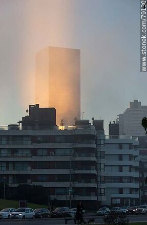 A torre 4 del World Trade Center Montevideo extrañamente iluminada con una masa de bruma vertical - Departamento de Montevideo - URUGUAY. Foto No. 79130