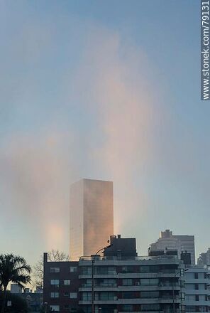 A torre 4 del World Trade Center Montevideo extrañamente iluminada con una masa de bruma vertical - Department of Montevideo - URUGUAY. Photo #79131