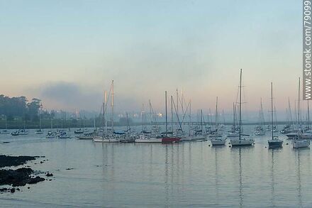 Veleros del puerto en la calma del atardecer - Department of Montevideo - URUGUAY. Photo #79099