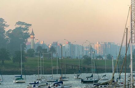 Veleros del puerto en la calma del atardecer - Departamento de Montevideo - URUGUAY. Foto No. 79100