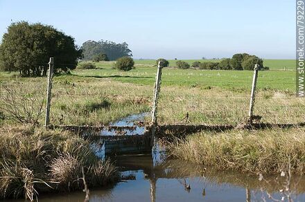 Curso de agua por debajo de una alambrada -  - URUGUAY. Foto No. 79229