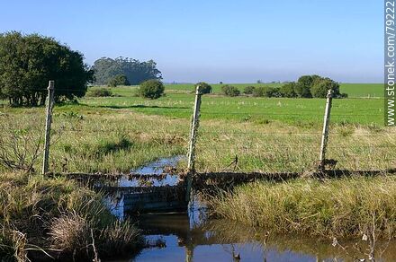 Curso de agua por debajo de una alambrada -  - URUGUAY. Photo #79222