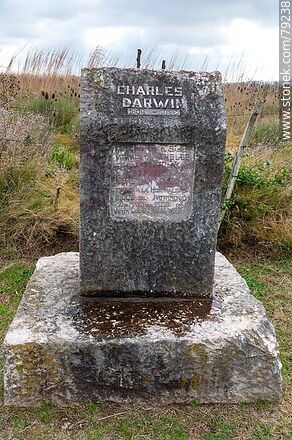 Monolith in remembrance of the visit of Charles Darwin - Department of Maldonado - URUGUAY. Photo #79238