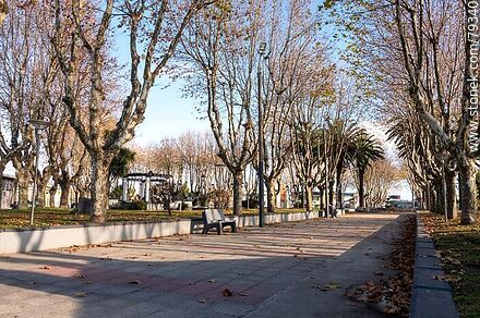Plaza 19 de Abril - Departamento de Maldonado - URUGUAY. Foto No. 79340