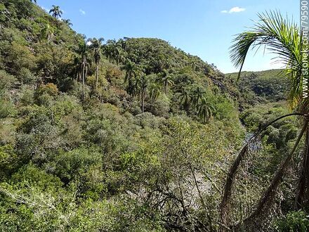 Landscape inside the ravine - Department of Treinta y Tres - URUGUAY. Photo #79590