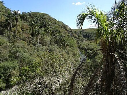 Landscape inside the ravine - Department of Treinta y Tres - URUGUAY. Photo #79591