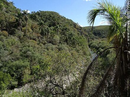Landscape inside the ravine - Department of Treinta y Tres - URUGUAY. Photo #79592