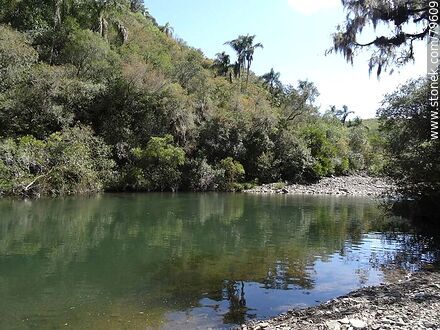 Yerbal Chico Creek - Department of Treinta y Tres - URUGUAY. Photo #79609