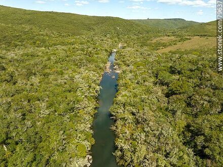 Aerial photo of the Yerbal Chico creek at the bottom of the creek - Department of Treinta y Tres - URUGUAY. Photo #79637
