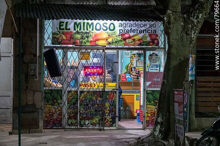 Minimarket - Department of Treinta y Tres - URUGUAY. Photo #79664